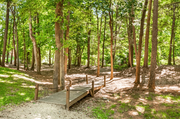 A wooden bridge crosses a gravel path in a green forest.